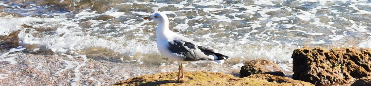 IT-Support für Senioren