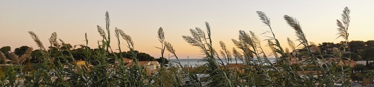 IT-Support für Senioren