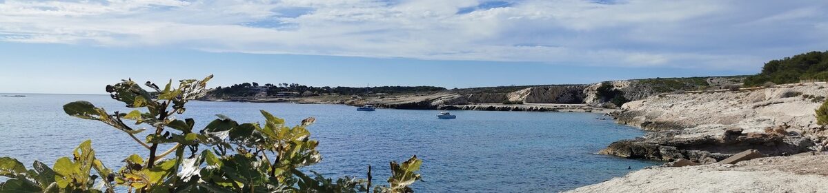 IT-Support für Senioren